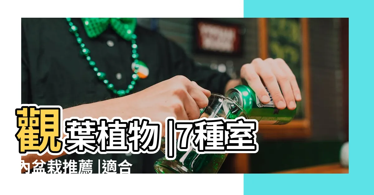 【室內觀葉植物】觀葉植物 |7種室內盆栽推薦 |適合居家佈置觀葉植物在這 |