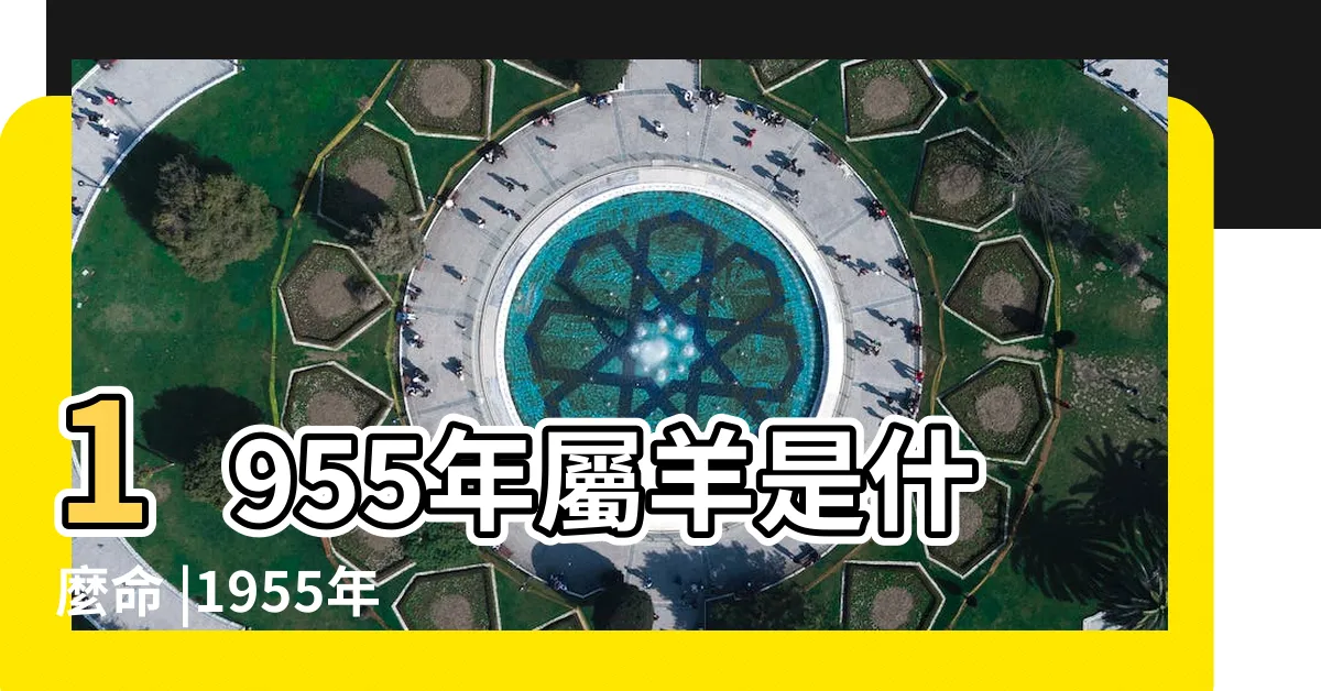 【1955年 生肖】1955年屬羊是什麼命 |1955年出生是什麼命 |55年出生五行屬什麼 |