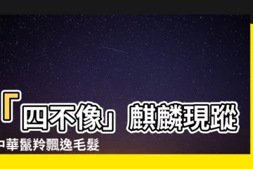【麒麟 四不像】「四不像」麒麟現蹤！中華鬣羚飄逸毛髮引熱議
