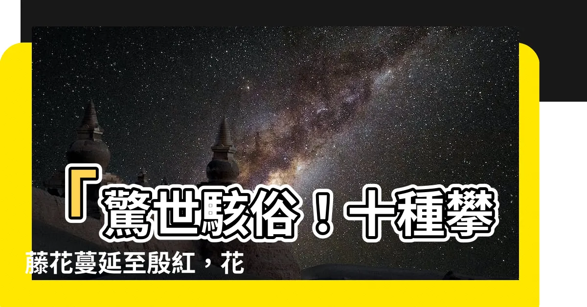 【攀藤花】「驚世駭俗！十種攀藤花蔓延至殷紅，花開時天地震動！」