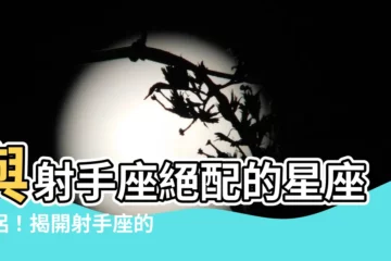 【射手座和哪個星座最配】與射手座絕配的星座伴侶！揭開射手座的愛情之謎！