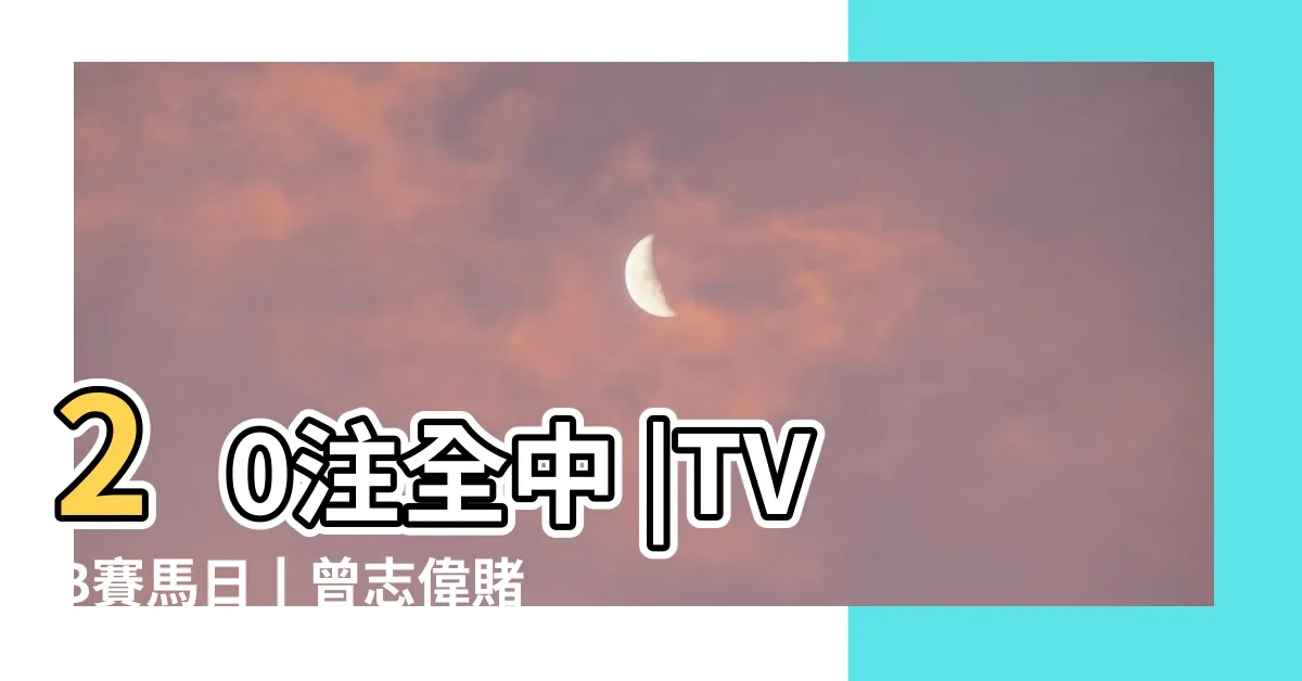 【曾志偉贏馬】20注全中 |TVB賽馬日丨曾志偉賭馬最威水一次贏1600萬正著手今年搞大 |曾志偉神奇贏千六萬 |