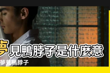 【孕婦夢見斷脖子的鴨】夢見鴨脖子是什麼意義 |夢見鴨脖子 |夢見鴨子的心理學解夢 |