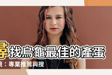 【烏龜生蛋環境】尋找烏龜最佳的產蛋環境：專業推薦與搜索結果綜合分析