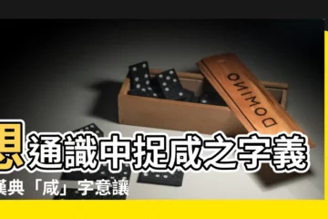 【鹹意思】想通識中捉鹹之字義？漢典「鹹」字意讓你仔細鹹！