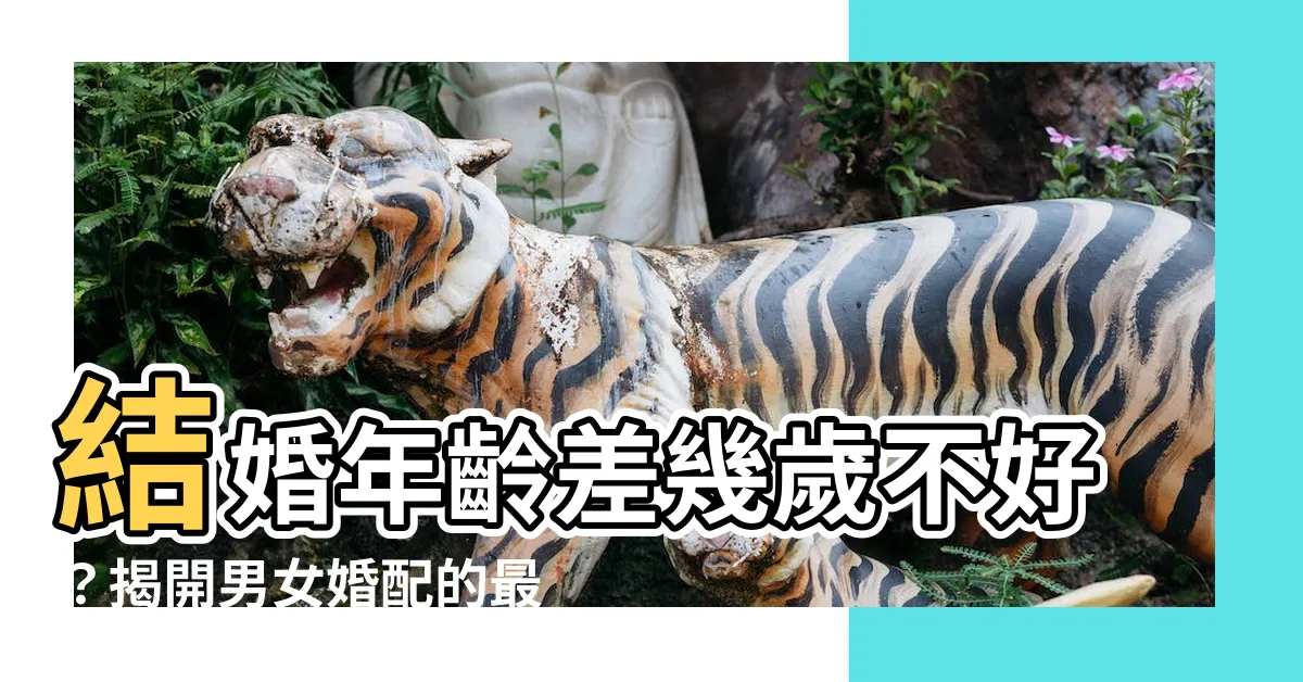 【結婚差幾歲不好】結婚年齡差幾歲不好？揭開男女婚配的最佳年齡差距