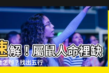 【屬鼠五行缺什麼】速解！屬鼠人命裡缺了金怎辦？找出五行缺失，招財補運不求人
