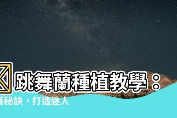 【跳舞蘭種植】✨跳舞蘭種植教學：養護秘訣，打造迷人舞姿✨