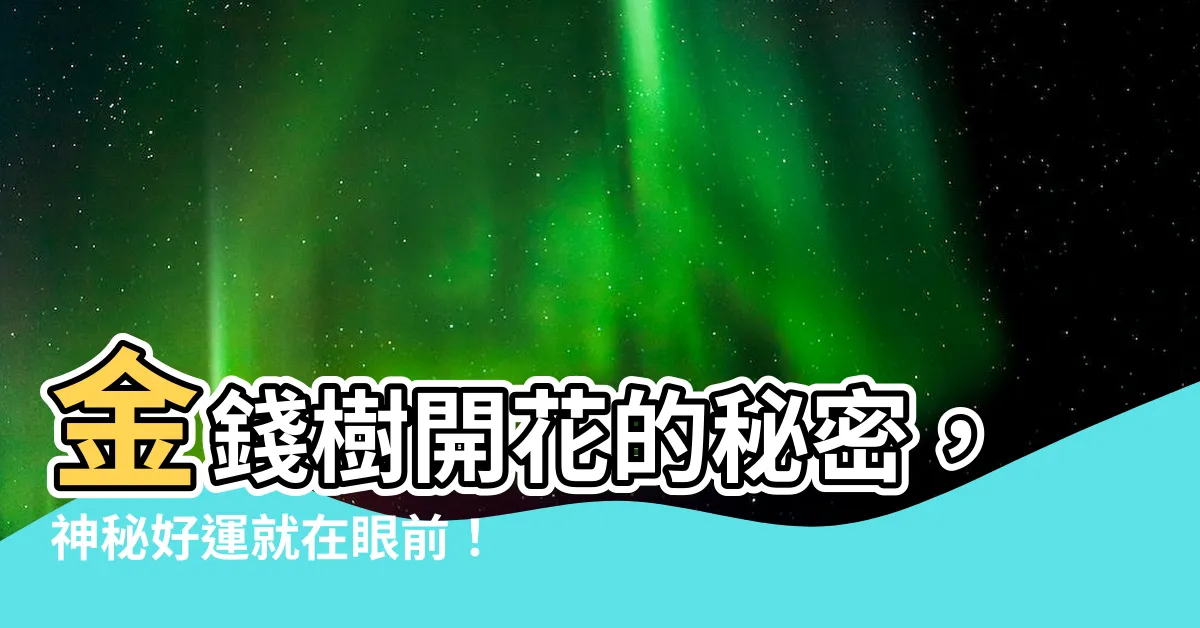 【金錢樹 開花】金錢樹開花的秘密，神秘好運就在眼前！