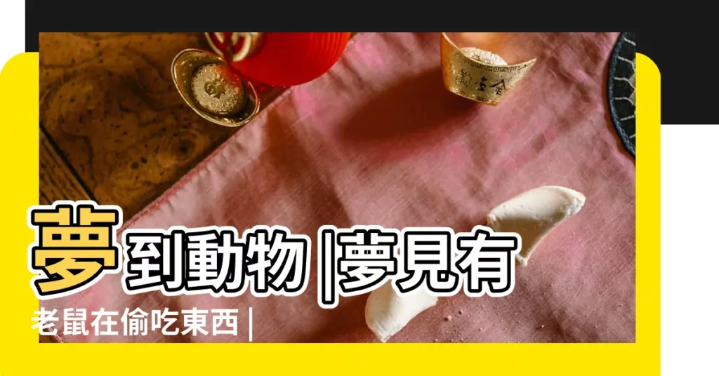 夢到動物 |夢見有老鼠在偷吃東西 |做夢夢見老鼠吃東西 |【夢見老鼠在身上吃東西】