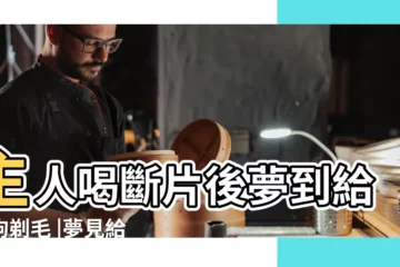 【做夢給自家狗狗剃毛髮】主人喝斷片後夢到給狗狗剃毛 |夢見給狗剃毛是什麼意思 |夢見給自家狗剃毛 |