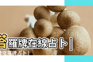 【免費塔羅牌占卜愛情】塔羅牌在線占卜 |免費塔羅牌占卜 |免費塔羅牌占卜 |
