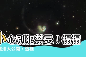 【榻榻米 擺法】小心別犯禁忌！榻榻米擺法大公開，這樣鋪準沒錯