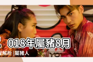 【屬豬的人2018年8月運勢如何】2018年屬豬8月運程解析 |屬豬人2018年每月的運勢完整篇 |屬豬2018年運勢及運程2018年屬豬人全年每月運勢 |