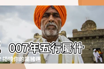 【2007年五行屬什麼】2007年五行屬什麼？揭曉你的屬豬運勢！
