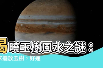 【玉樹風水】揭曉玉樹風水之謎：在家擺放玉樹，好運連連！