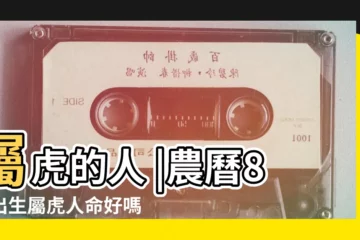 【屬虎八月份出生的人】屬虎的人 |農曆8月出生屬虎人命好嗎 |出生在此月份的屬虎人 |