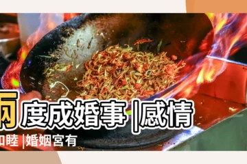 【地支巳 婚姻宮】兩度成婚事 |感情不和睦 |婚姻宮有衝 |