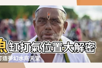 【魚缸打氣位置】魚缸打氣位置大解密：打造夢幻水底天堂的關鍵指南