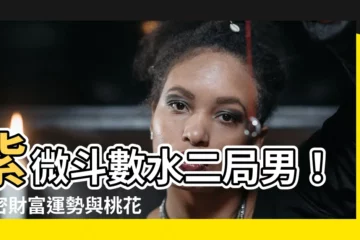 【水二局男】紫微鬥數水二局男！揭密財富運勢與桃花劫