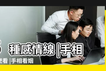 【手掌紋路感情線怎麼看】5種感情線 |手相怎麼看 |手相看姻緣 |