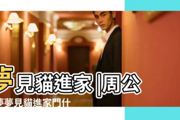 【夢見貓進家中】夢見貓進家 |周公解夢夢見貓進家門什麼意思 |夢見貓進屋 |