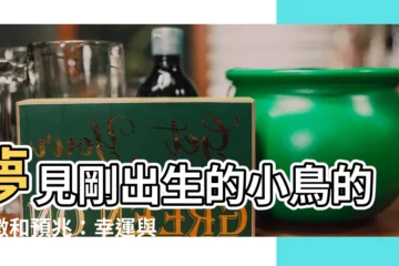 【夢見剛出生的小鳥】夢見剛出生的小鳥的象徵和預兆：幸運與希望的萌芽！