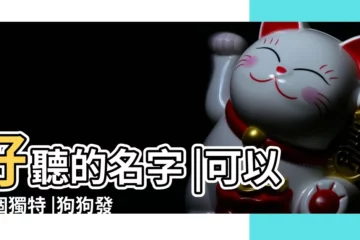 【女狗狗名字能旺財的名字2019】好聽的名字 |可以取個獨特 |狗狗發財的名字大全 |