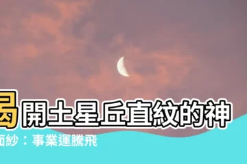 【土星丘直紋】揭開土星丘直紋的神秘面紗：事業運騰飛的秘密