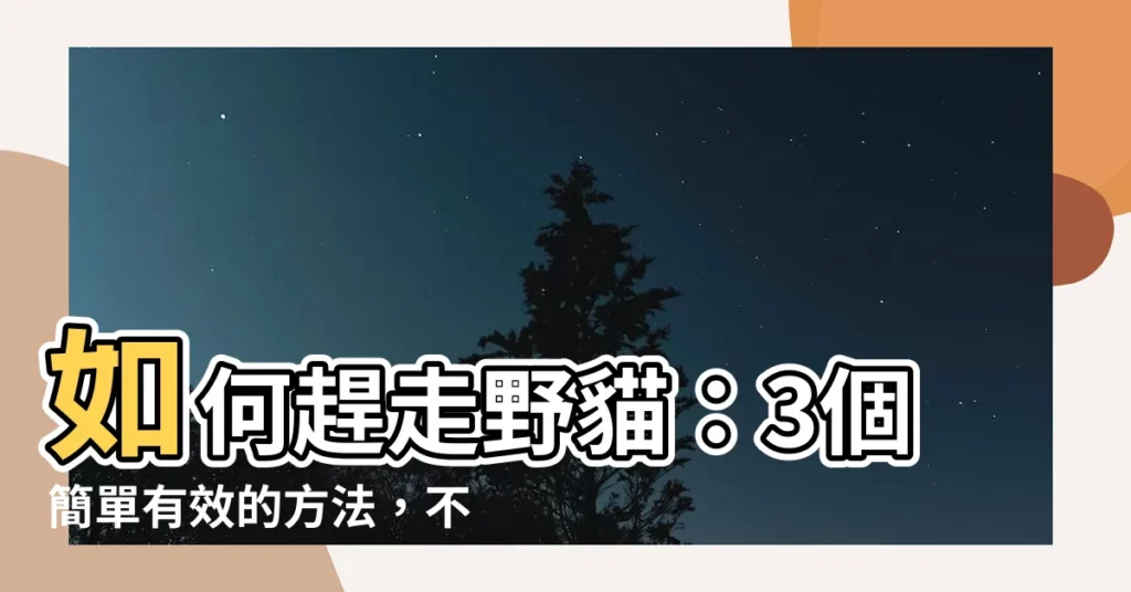 【如何趕走野貓】如何趕走野貓：3個簡單有效的方法，不再被入侵困擾！