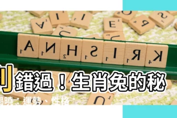 【生肖兔】別錯過！生肖兔的秘密揭曉：運勢、性格特質、配對一次看！