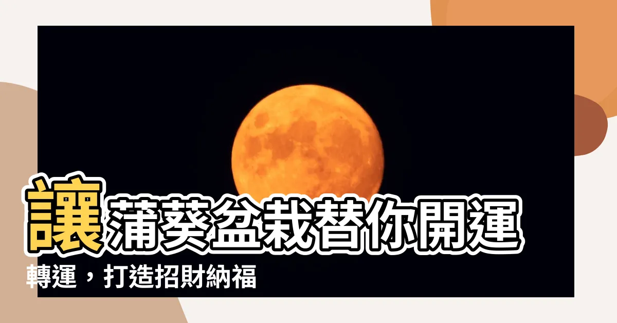 【蒲葵盆栽風水】讓蒲葵盆栽替你開運轉運，打造招財納福風水環境