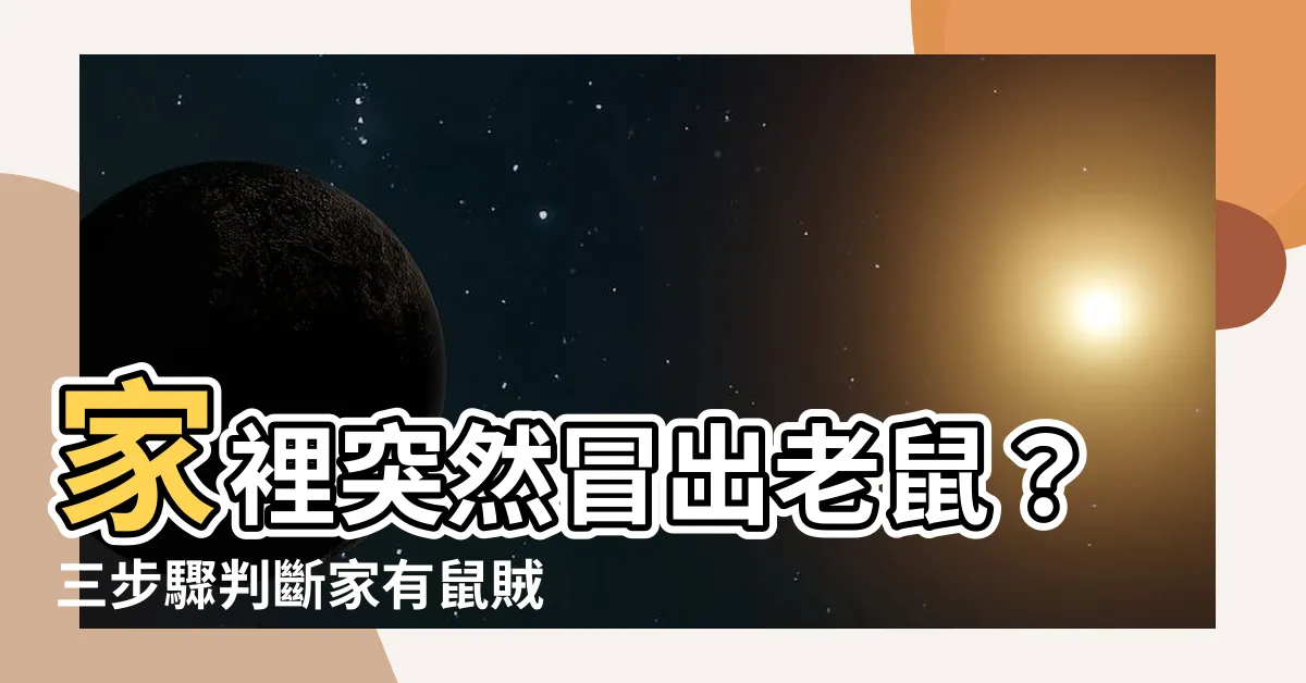 【家裡突然出現老鼠】家裡突然冒出老鼠？三步驟判斷家有鼠賊破壞好心情