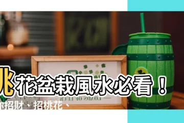 【桃花盆栽風水】桃花盆栽風水必看！讓你招財、招桃花、招好運，年花擺放全攻略