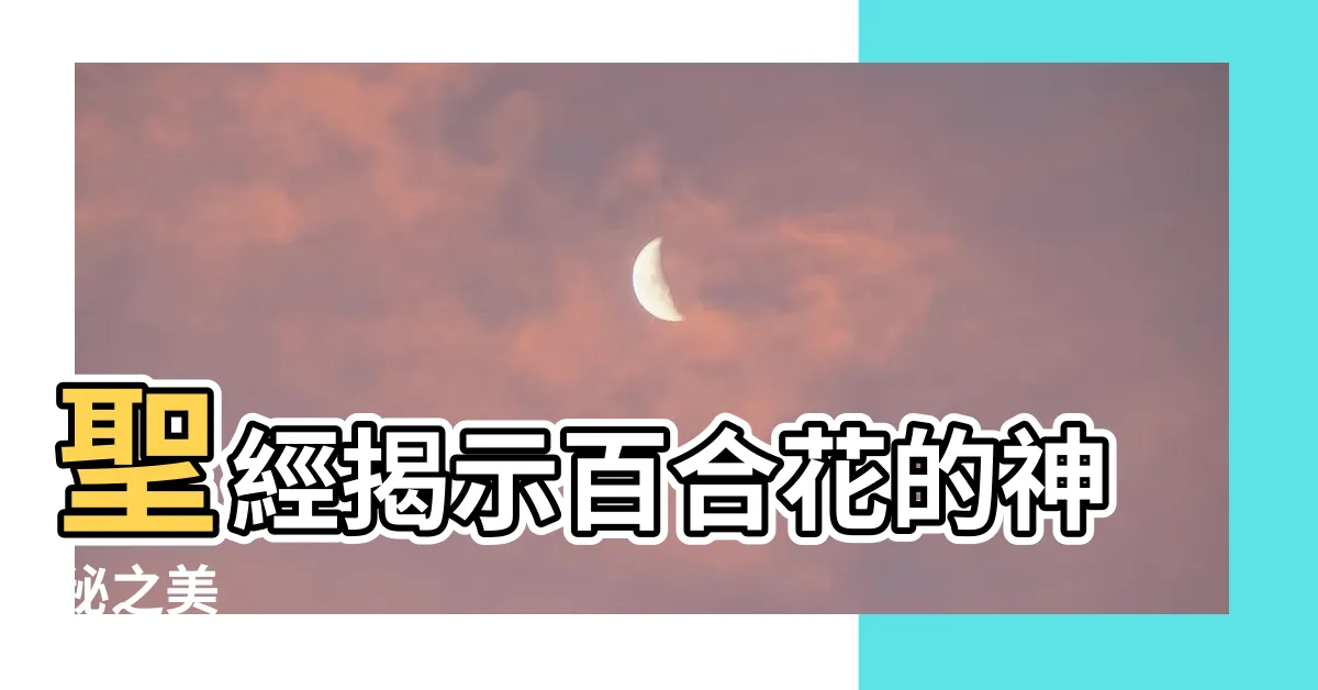 【聖經 百合花】聖經揭示百合花的神秘之美