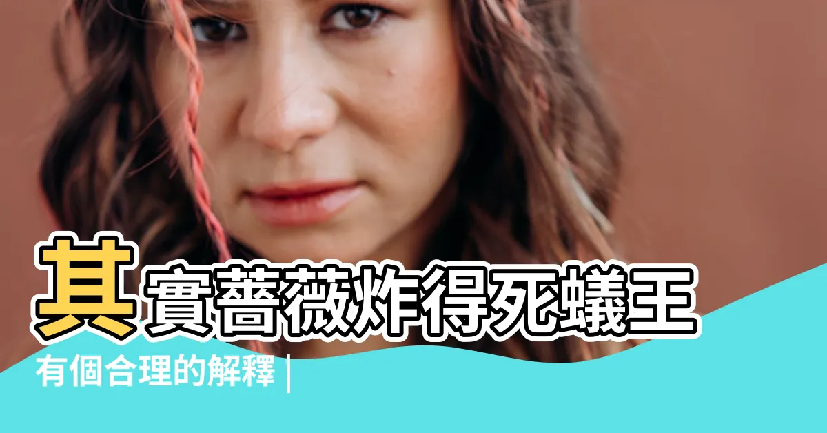 【薔薇毒氣】其實薔薇炸得死蟻王有個合理的解釋 |制約與誓約 |薔薇炸彈 |