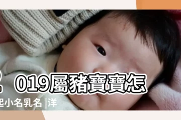 【豬寶寶吉祥如意乳名大全】2019屬豬寶寶怎麼起小名乳名 |洋氣的豬寶寶乳名大全 |2019豬年寶寶小名乳名大全 |