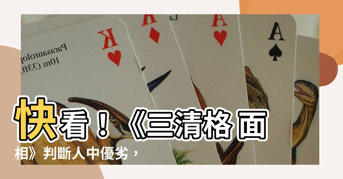 【三清格 面相】快看！《三清格 面相》判斷人中優劣，讓你事業愛情運勢不走空