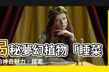 【睡菜】揭秘夢幻植物「睡菜」的神奇魅力，探索睡菜科的奧秘！