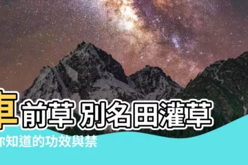 【田灌草禁忌】車前草 別名田灌草！你知道的功效與禁忌有哪些？