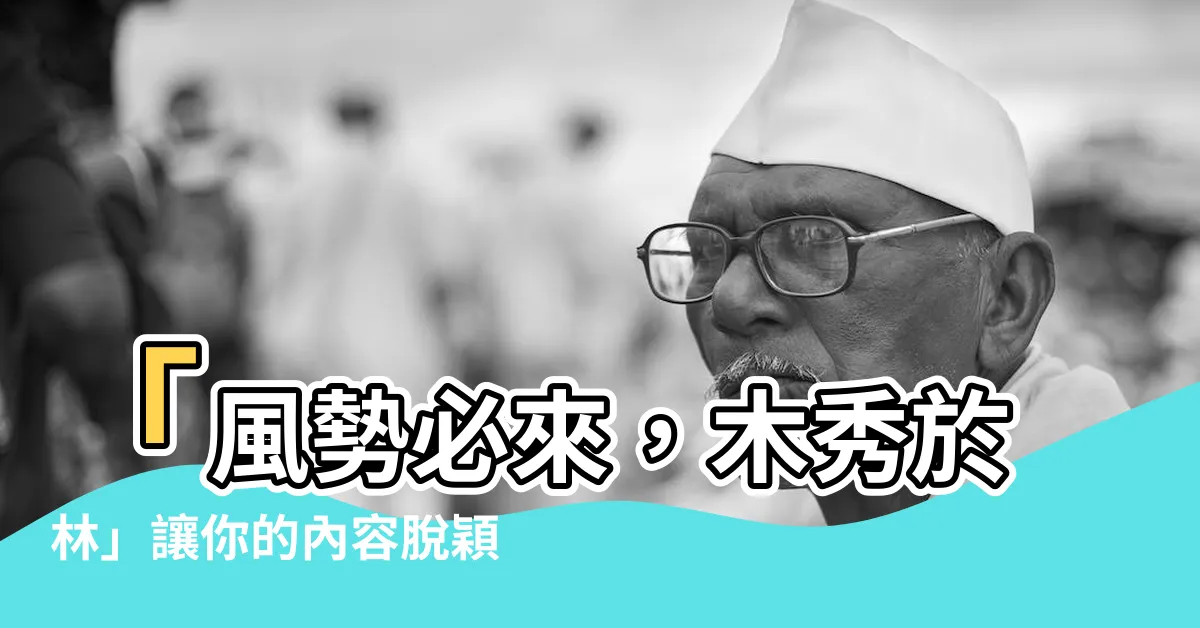 【木秀於林，風必摧之】「風勢必來，木秀於林」讓你的內容脱穎而出！