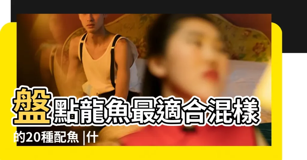 盤點龍魚最適合混樣的20種配魚 |什麼魚適合跟紅龍混養 |適合和銀龍魚混養5種配魚 |【可以跟龍魚一起養的魚】