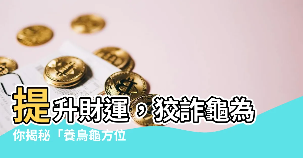 【養烏龜方位】提升財運，狡詐龜為你揭秘「養烏龜方位」