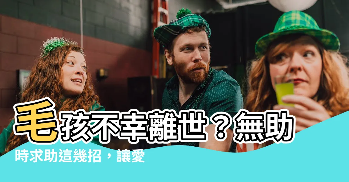 【貓咪死掉如何處理】毛孩不幸離世？無助時求助這幾招，讓愛貓有尊嚴地告別！