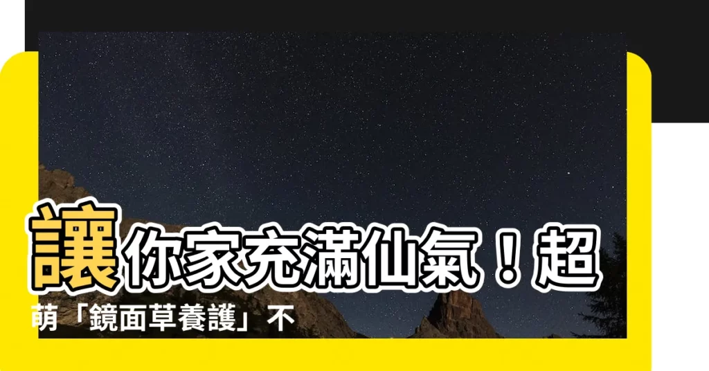 【鏡面草養護】讓你家充滿仙氣！超萌「鏡面草養護」不求人秘技公開！