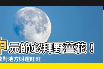 【野薑花風水】中元節必拜野薑花！擺放對地方財運旺旺來