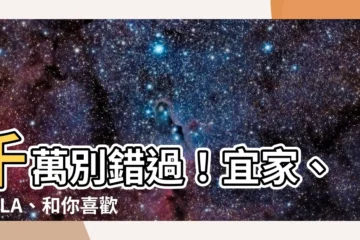 【椅子】千萬別錯過！宜家、HOLA、和你喜歡的『椅』的相遇