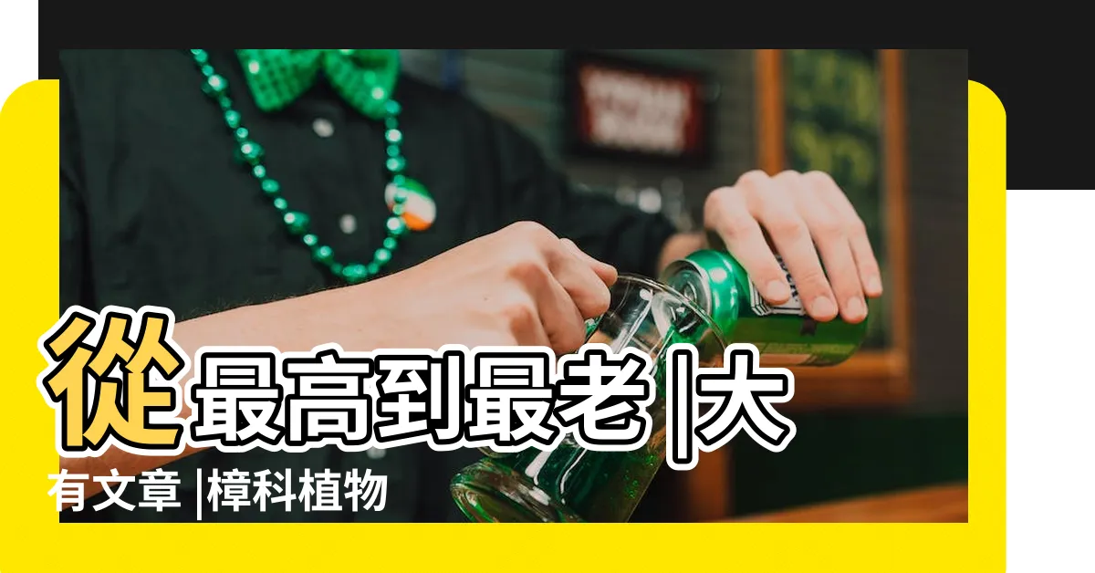 【樟樹用途】從最高到最老 |大有文章 |樟科植物 |