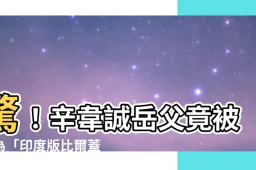 【辛韋誠】驚！辛韋誠岳父竟被封為「印度版比爾蓋茲」