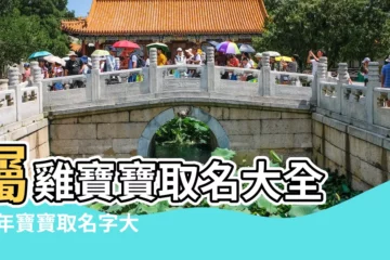 【雞年生辰八字取名字大全】屬雞寶寶取名大全 |雞年寶寶取名字大全 |生肖雞寶寶取名大全 |